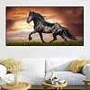 Horse-Full Round/Square Diamond Painting (80*40cm)
