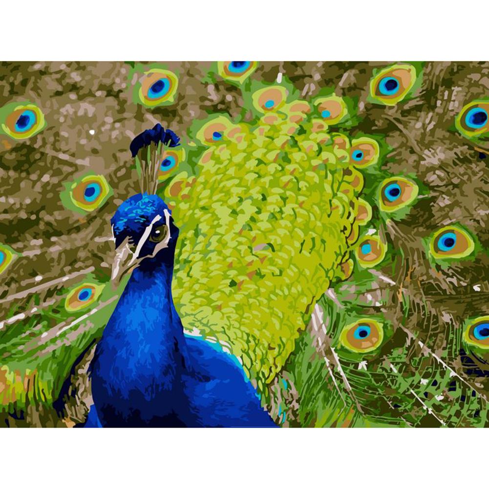

40x50cm - Paint By Numbers Peacock, 501 Original