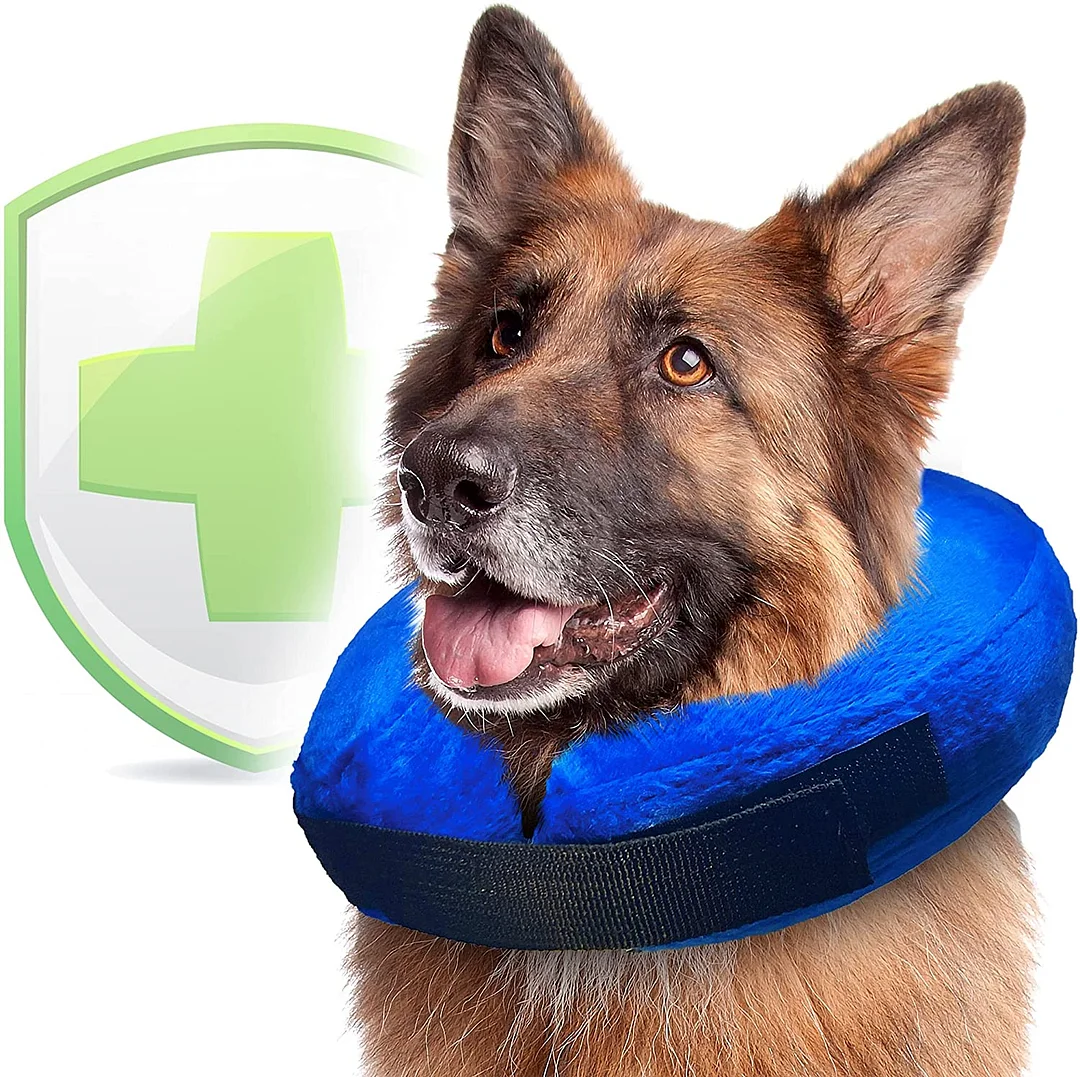Dog Inflatable Collar