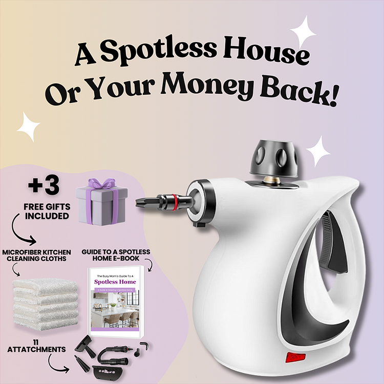 Delilahs Natural Steam Cleaner