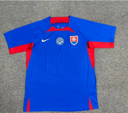 2024 Slovakia Home Football Shirt Thai Quality