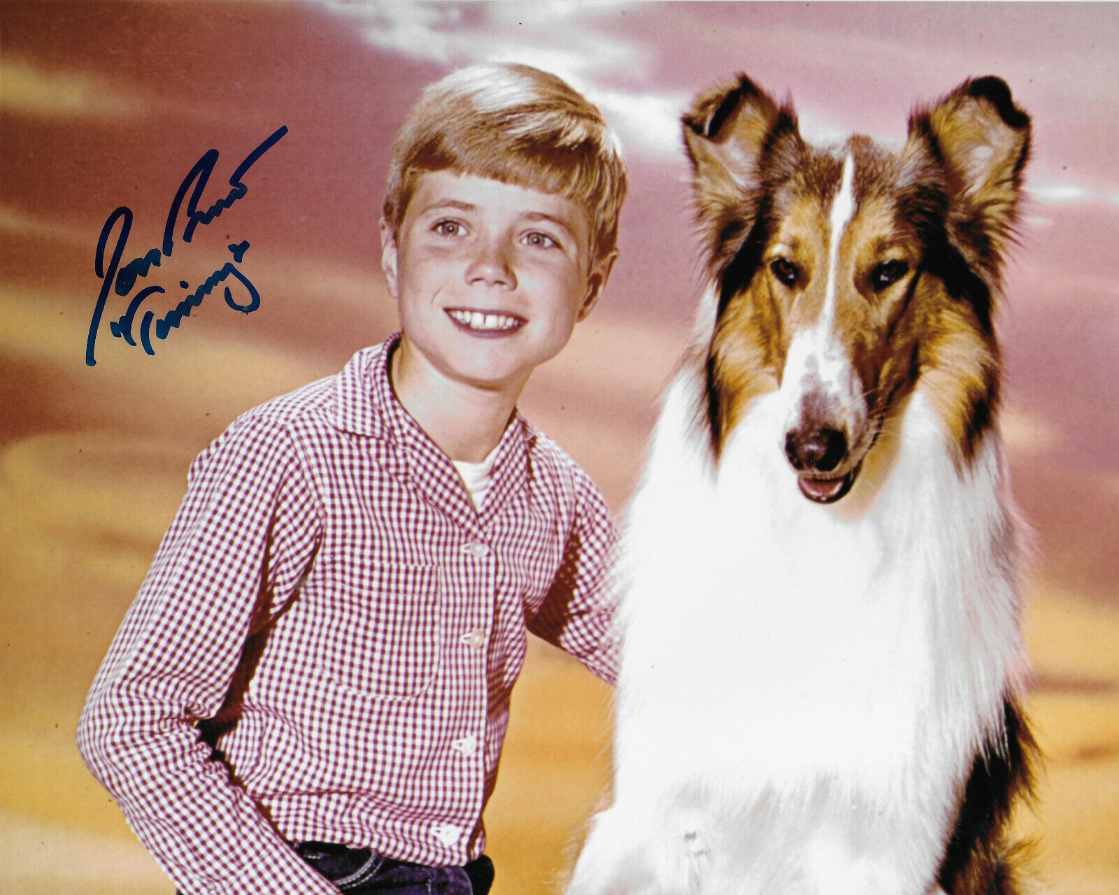 Jon Provost Lassie Original Autographed 8X10 Photo Poster painting #17