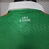 2026 Player Version C&ocirc;te d'Ivoire Special Edition Green Football Shirt 1:1 Thai Quality