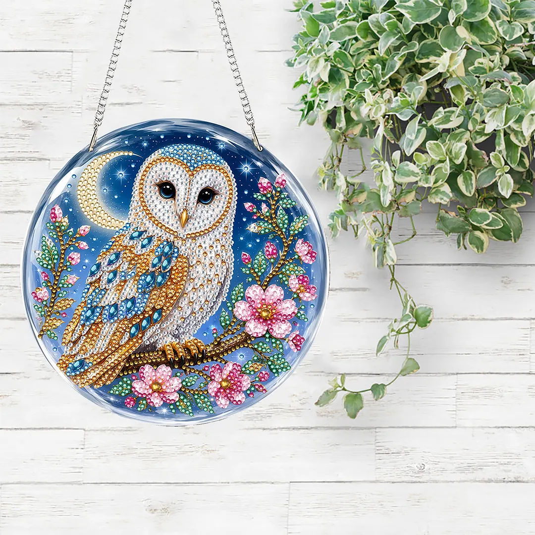 Diamond Painting Kit Moon Owl Sun Ornament for Adults 7.87x7.87in