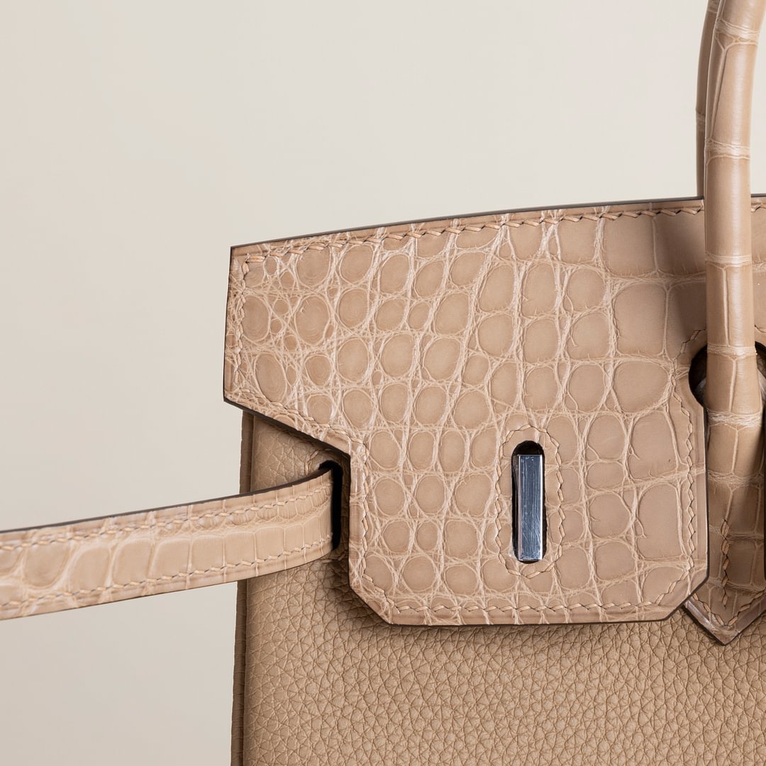 Birkin 25cm Touch Togo/Matte Alligator Crocodile 0M Chai PHW