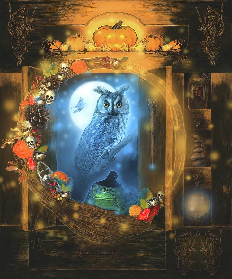 Halloween Skull Owl 40*50CM Diamond Painting gbfke