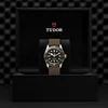 Tudor Black Bay Steel and Gold