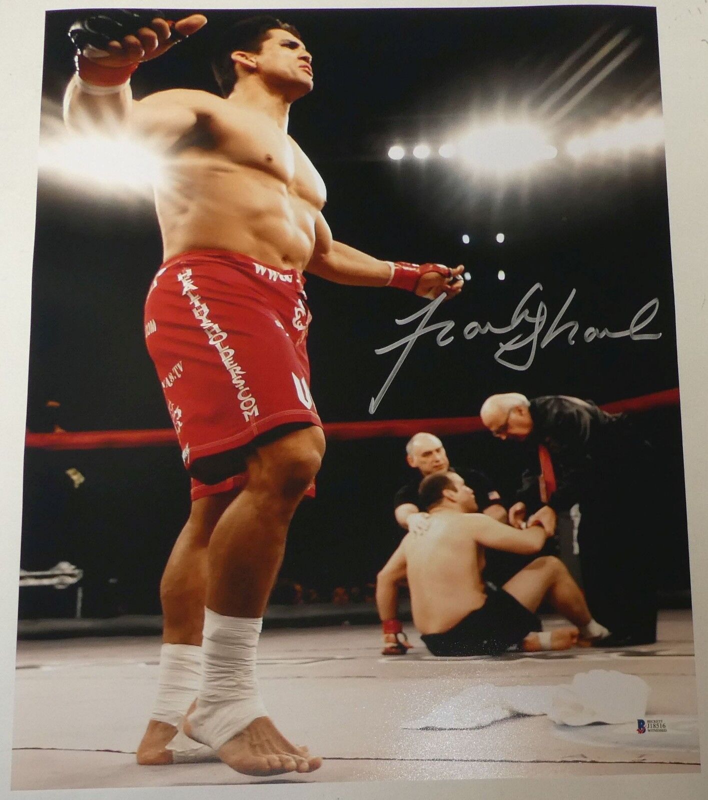 Frank Shamrock Signed 16x20 Photo Poster painting BAS Beckett COA UFC StrikeForce v Cesar Gracie