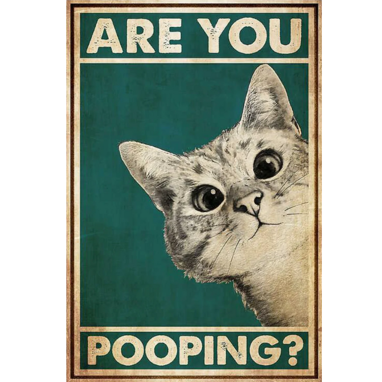 Are You Pooping Cat - Vintage Tin Signs/Wooden Signs - 7.9x11.8in & 11.8x15.7in