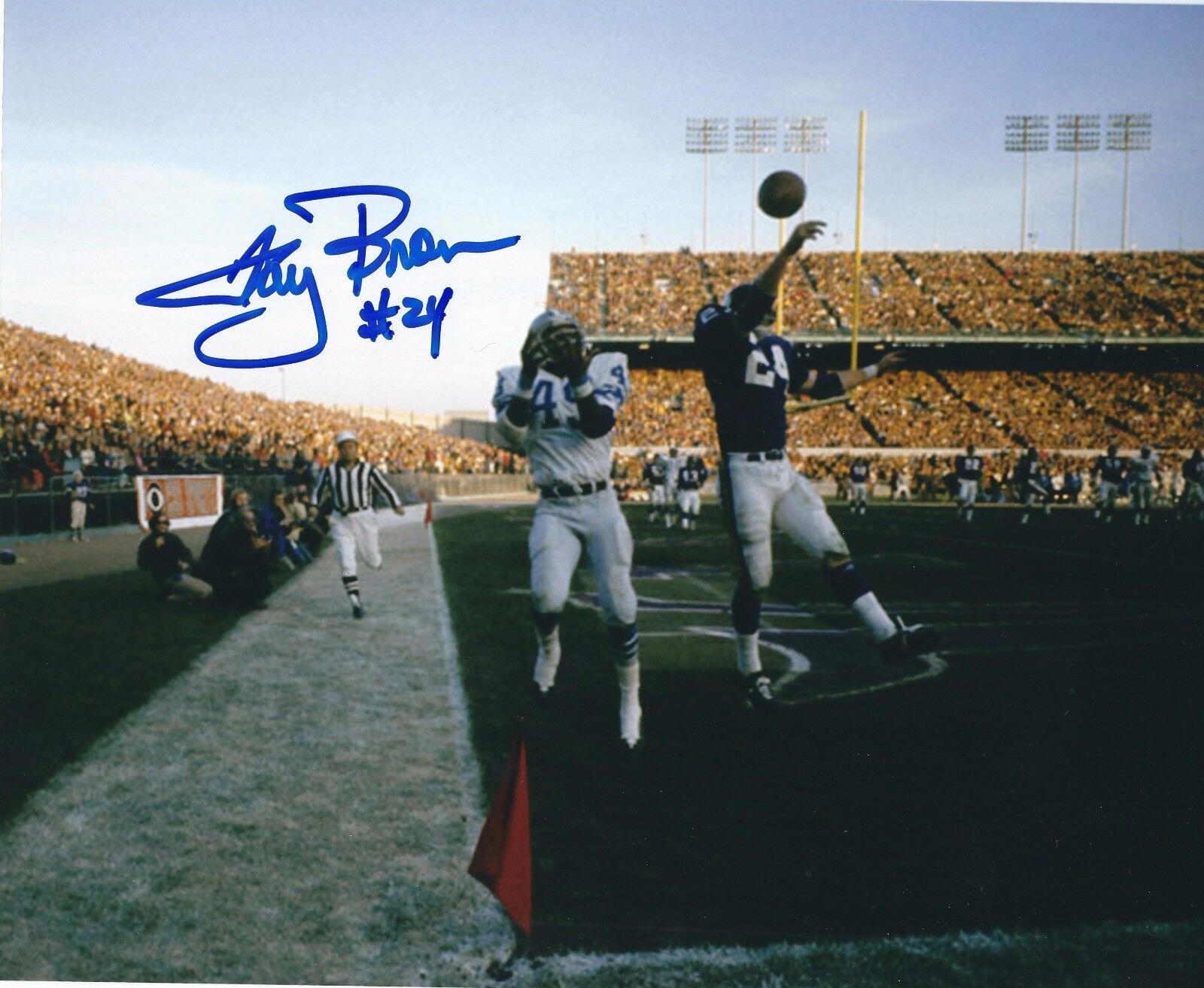 Signed 8x10 TERRY BROWN Minnesota Vikings Autographed Photo Poster painting - w/COA