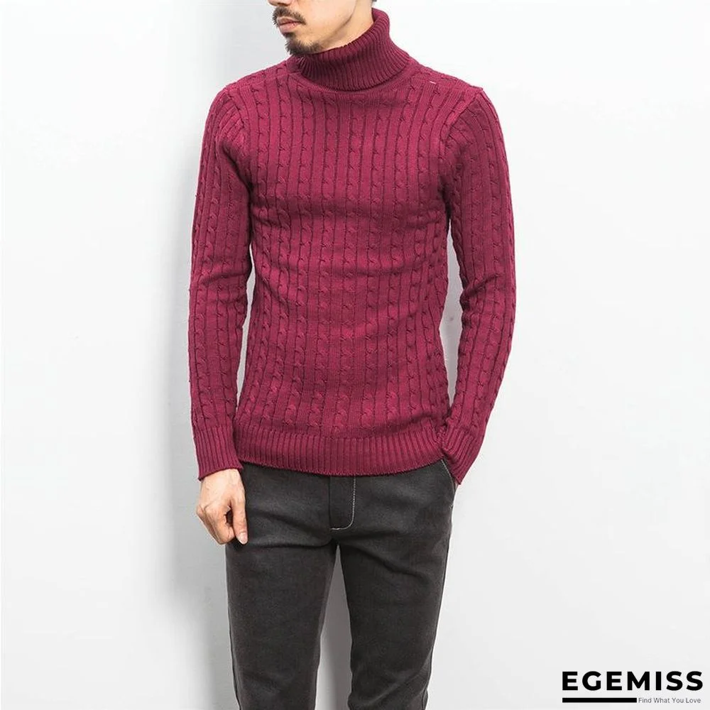 Men's Turtleneck Warm Twist Sweater Jacket | EGEMISS