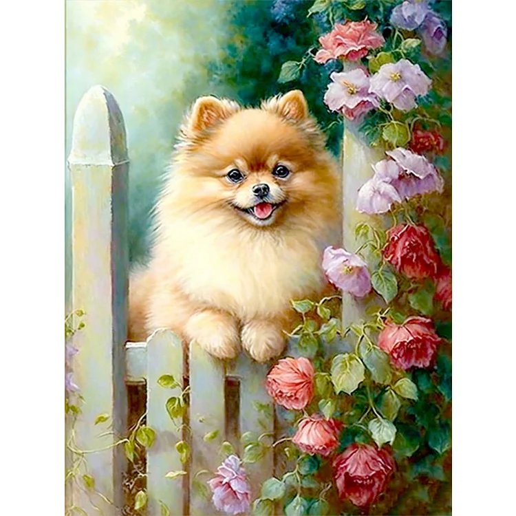 Dog On The Fence - Painting By Numbers - 30*40CM gbfke