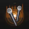 Professional Wireless Microphone with Receiver 2.4GHz Dynamic Handheld Microphones Rechargeable Condenser Microphone for Streaming & Live Performance