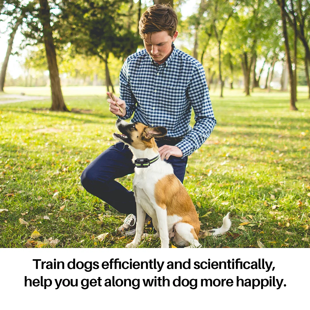 Dog Training Collars, Dog Shock Collar with Remote 2600 feet, 3 Modes Beep Vibration Shock, IPX7 Waterproof, LED Light, USB Charging, Dog Bark Collar for Training Small Medium Large Dogs