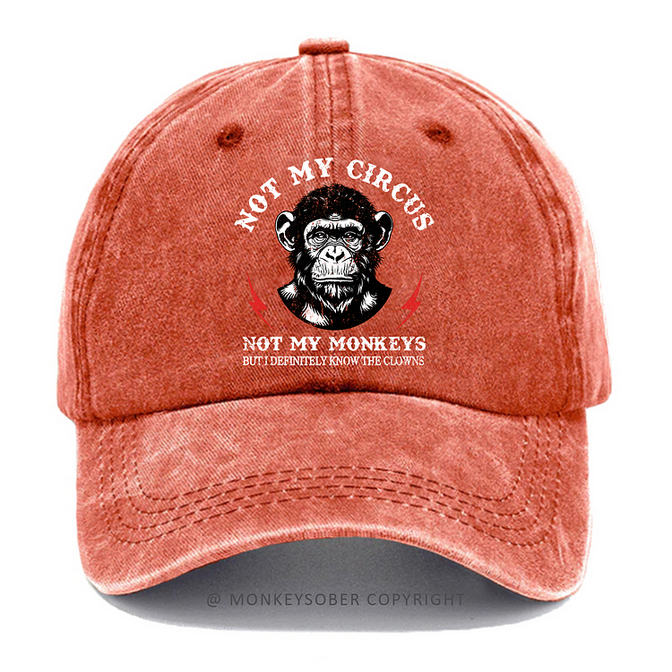 Not My Circus Not My Monkeys But I Definitely Know The Clowns Washed Baseball Caps