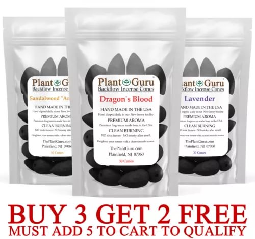 pornhint Pornhint 30 Charcoal Incense Cones BACKFLOW 1.25" Bulk For Waterfall Burner Holder Lot New