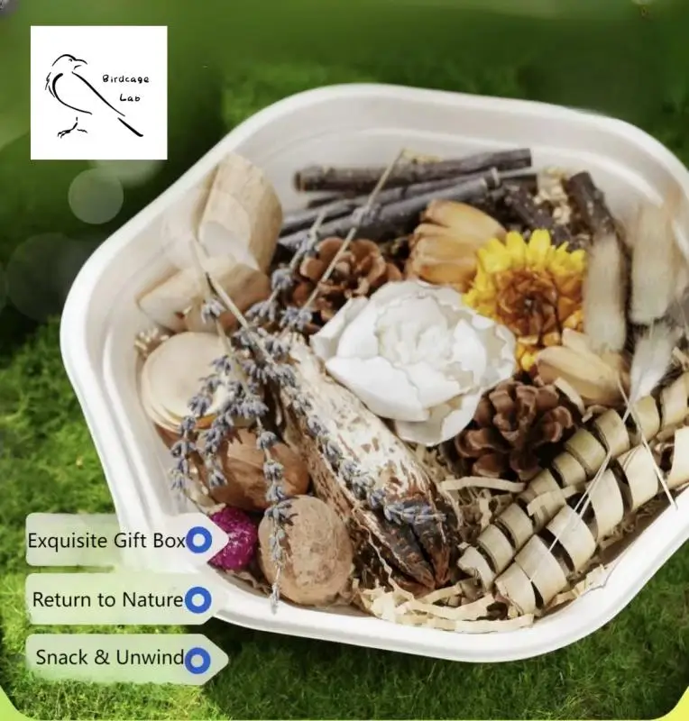 Parrot Fruit Box - Christmas Edition  Birdcagelab