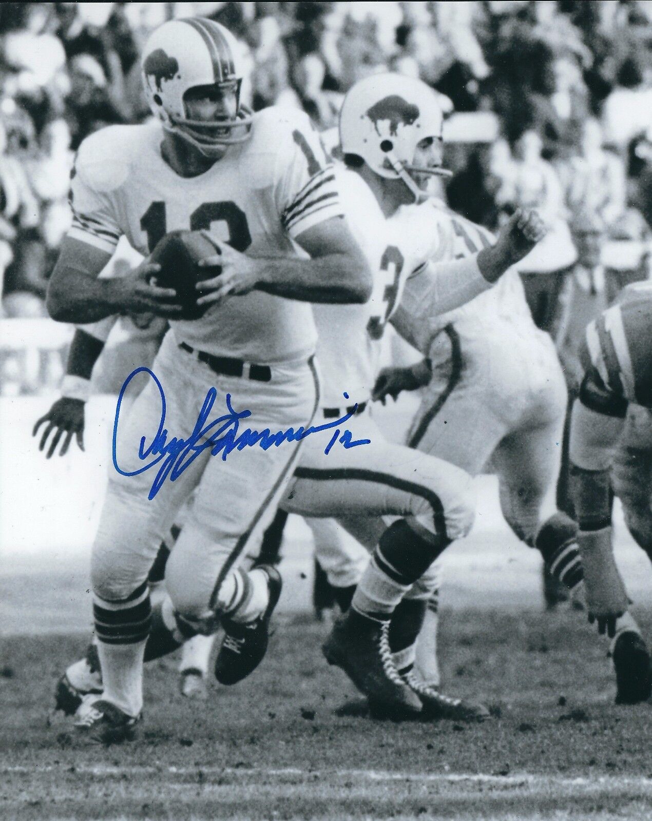 Autographed DARYLE LAMONICA Buffalo Bills 8x10 Photo Poster painting w/COA