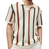 Hollow Knitted Striped Contrast Color Casual Polo Shirt