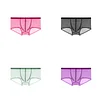 Men's Low Waist Sexy Transparent Ice Silk Seamless Ultra-Thin Boxer Briefs