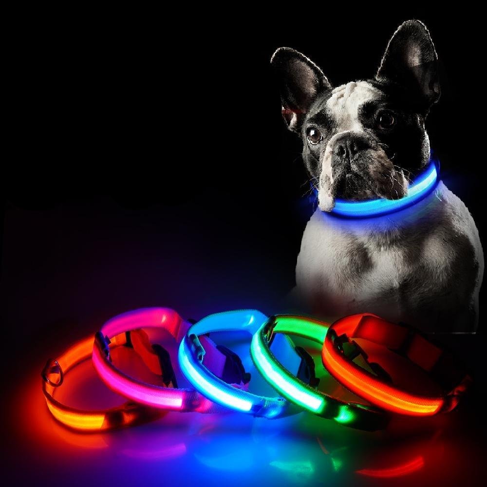 Light Up Flashing Glowing LED Dog Collar