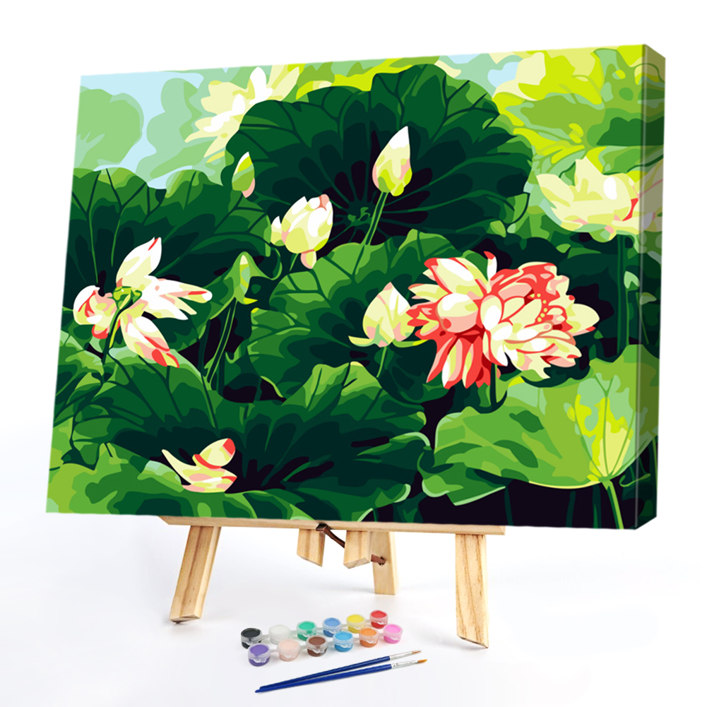 

40*50CM Paint By Numbers-Summer Lotus, 501 Original
