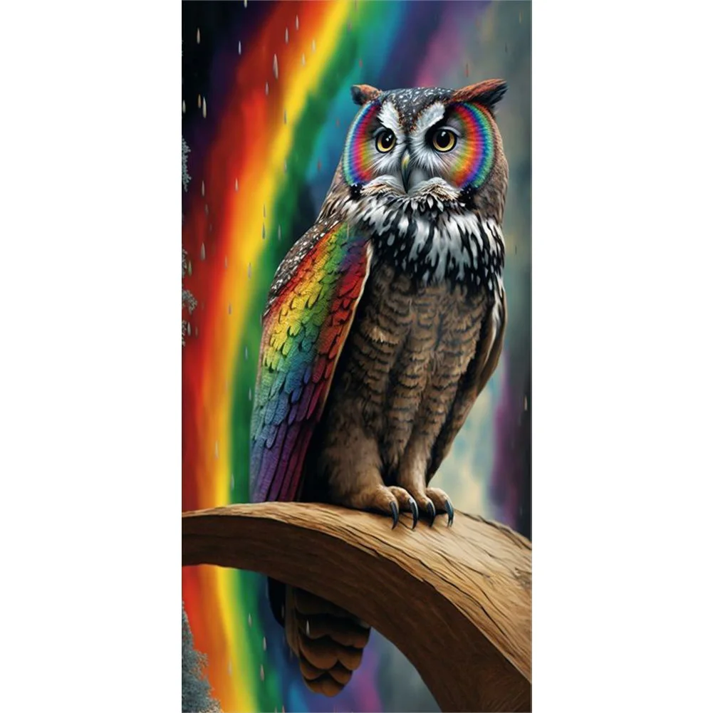 Full Round Diamond Painting - Owl(40*80cm)