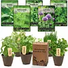 5 Herb Seeds Mix Package Collection Genovese Basil, Chives, Cilantro, Italian Parsley, and Oregano Seeds