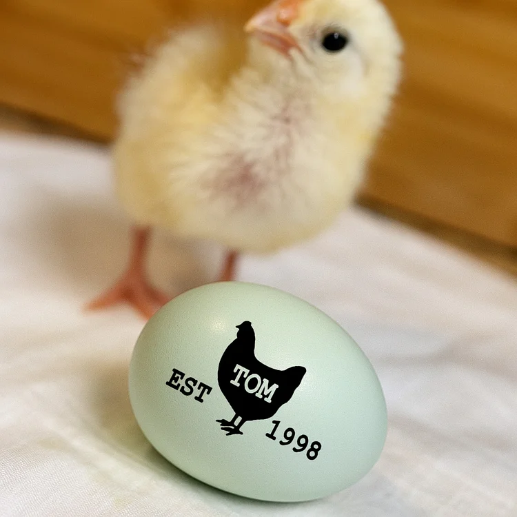 Fresh Egg Stamp Personalized for Chicken and Duck Eggs, Custom Rubber Stamp Ideal for Small Farms, Market Booths, or Gift Boxes