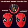 Spider-Man Helmet