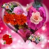 uk.everydayedeals Diamond Painting - Full Round - Love Rose(40*40cm)