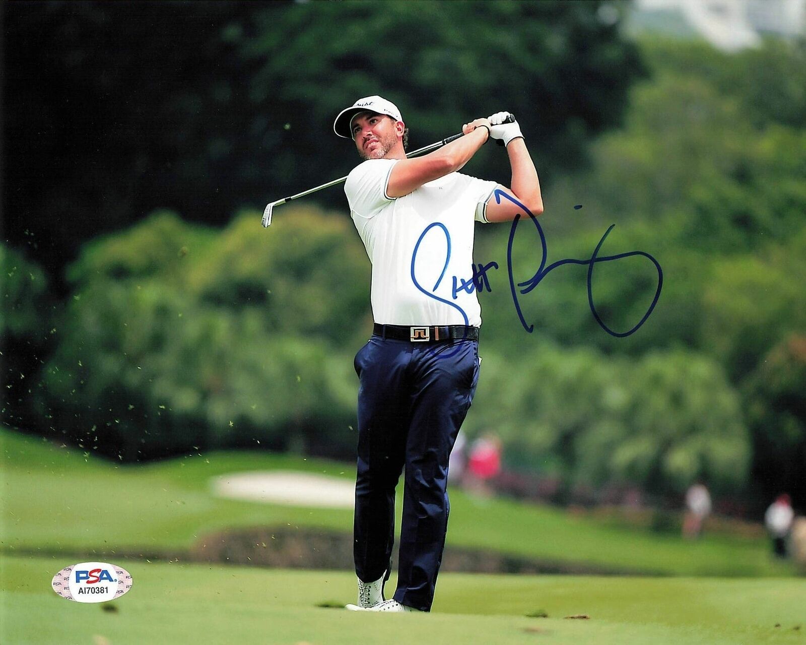 SCOTT PIERCY signed 8x10 Photo Poster painting PSA/DNA Autographed Golf