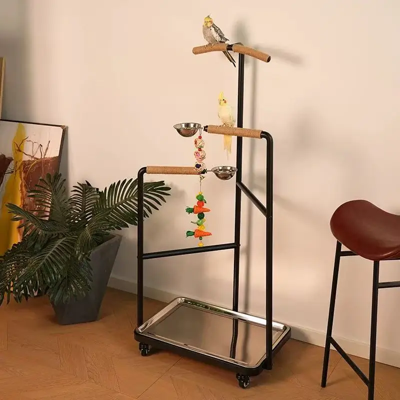 Birdcagelab | New trend