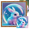 (Multi-Style) Crystal Ball Zodiac Animal-11CT Stamped Cross Stitch 40*40cm/15.75*15.75in