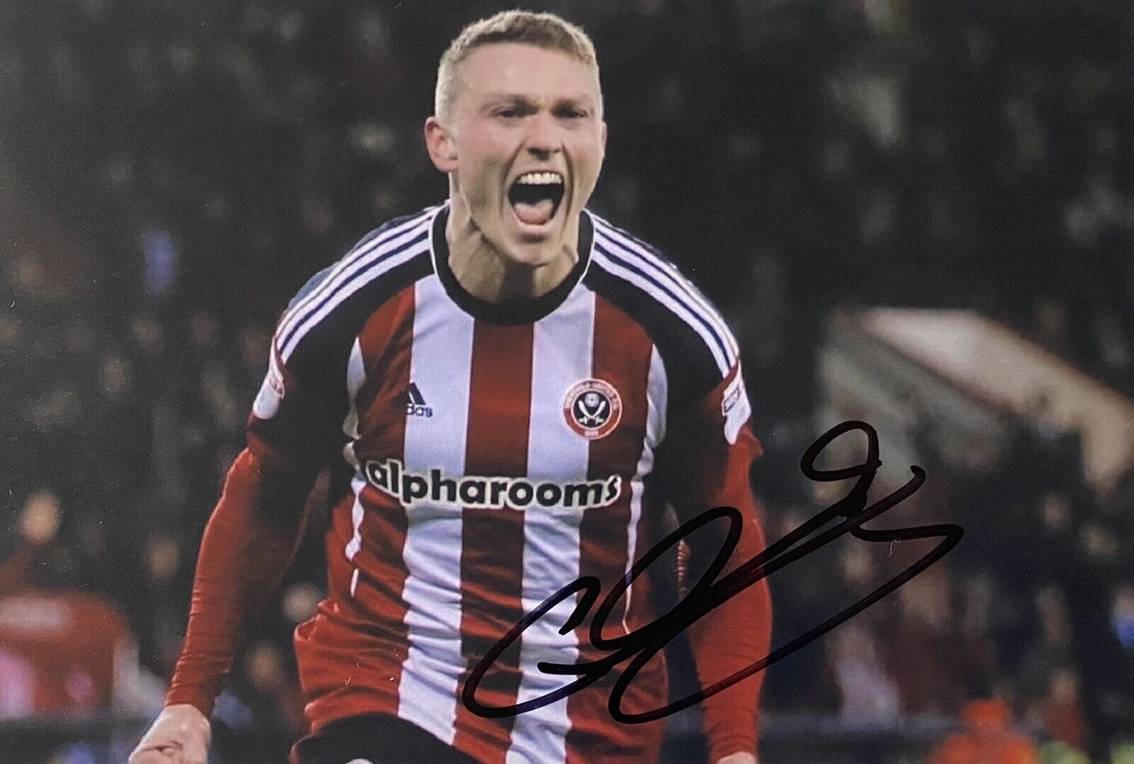 Caolan Lavery Genuine Hand Signed Sheffield United 6X4 Photo Poster painting 2