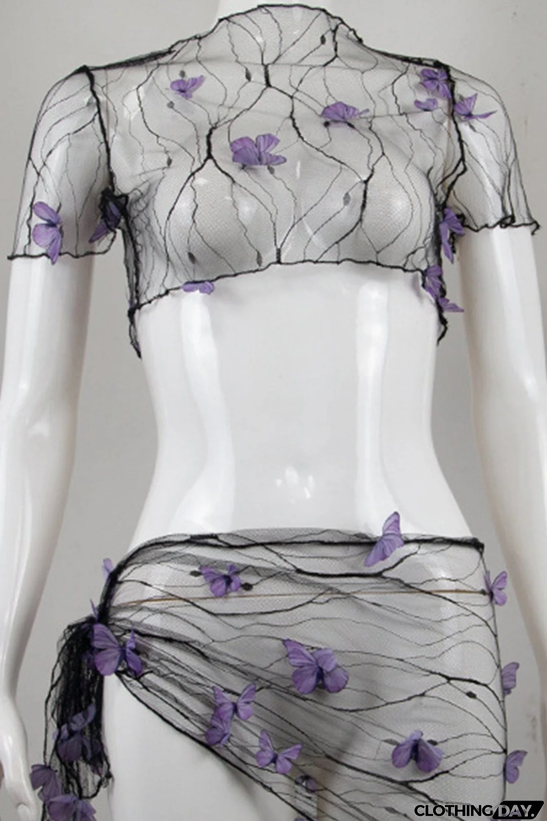 Mesh Butterfly Decoration Crop Top Skirt Suits