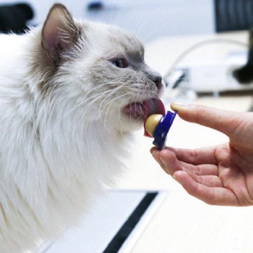 KittyChups Contain Cat Vitamins