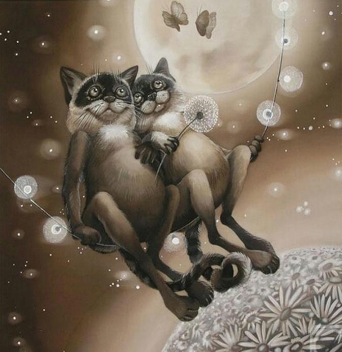 

Romantic Cats in space – Paint By Numbers - 40*50CM, 501 Original