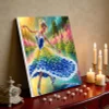 (Pre-Framed)Dress Beauty-Special Shape Diamond Painting Kit(25x25cm)