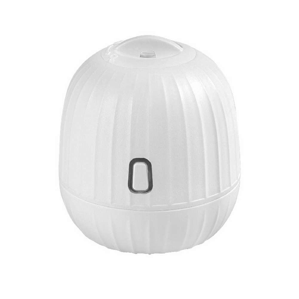 

2 in 1 Mini Mist Spray Facial Humidifier Sprayer Massage Cleansing Device, White, 501 Original