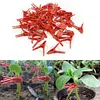50 Pcs Plant Grafting Clip for Cucumber Eggplant Watermelon (Round Mouth)