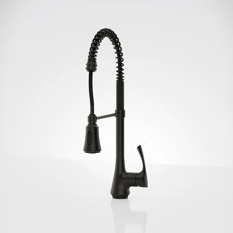 EVERSTEIN Commercial Pull-Down Kitchen Faucet Matte Black