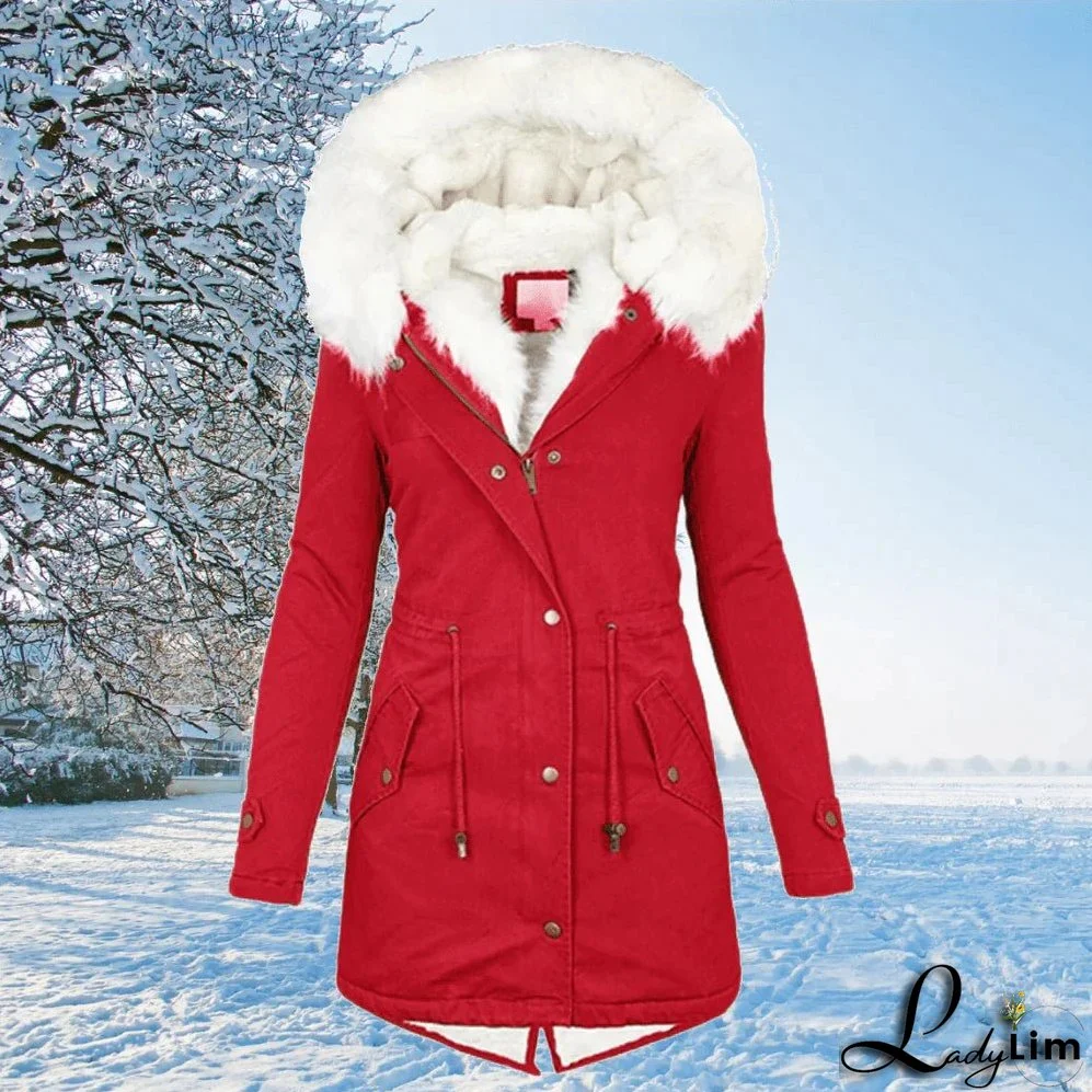 Classic and Stylish general garment