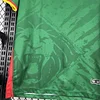 2025/2026 Cameroon Home Football Shirt 1:1 Thai Quality