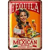 Tequila - Metal Tin Signs(8*12Inch/12*16Inch) - Bar