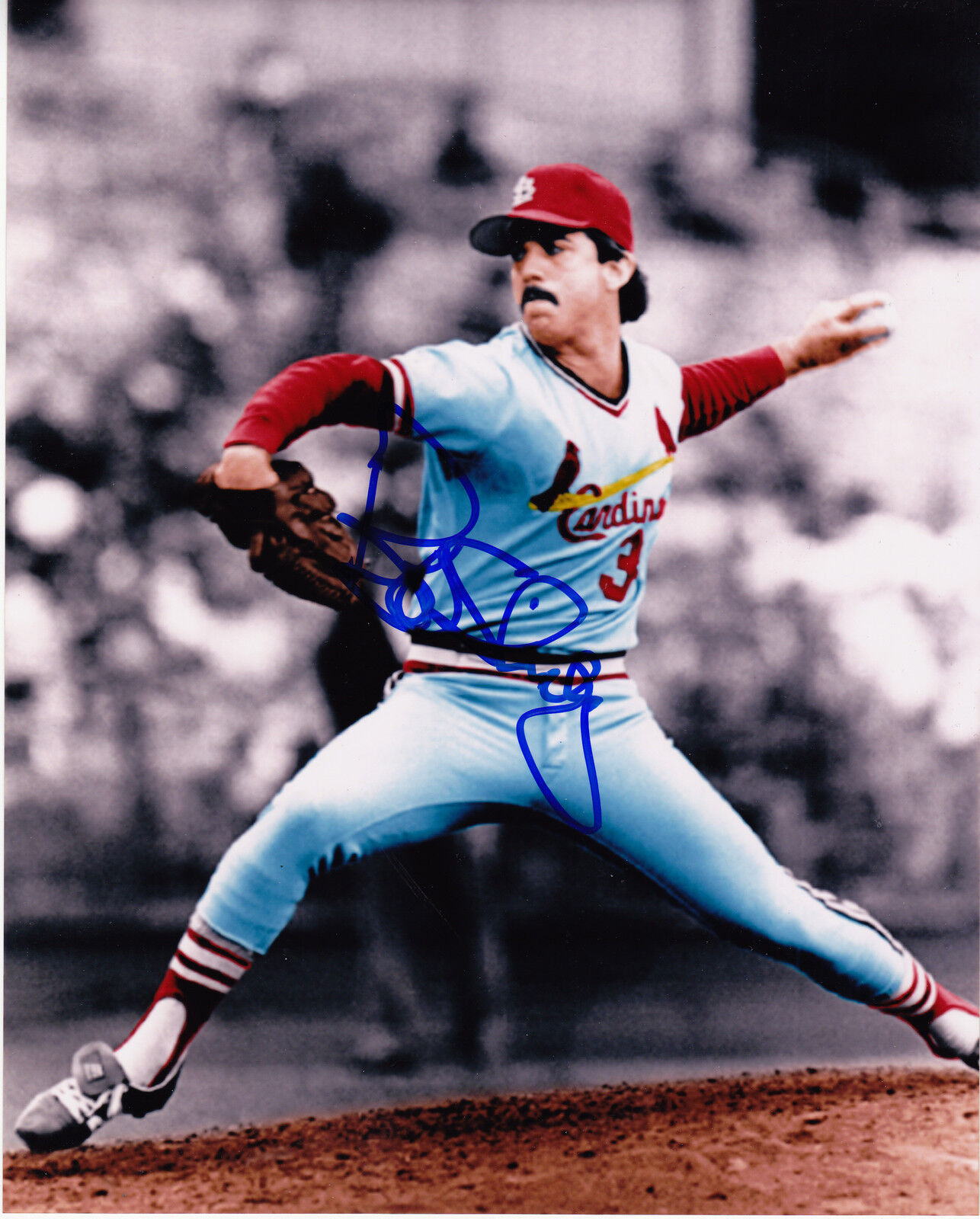 BOB SHIRLEY ST. LOUIS CARDINALS ACTION SIGNED 8x10