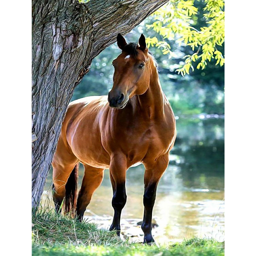 

Horse - Round Drill Diamond Painting - 30*40CM, 501 Original