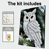 DIY Pearl Painting Owl for Home Wall Decor with Frame(30x40cm)