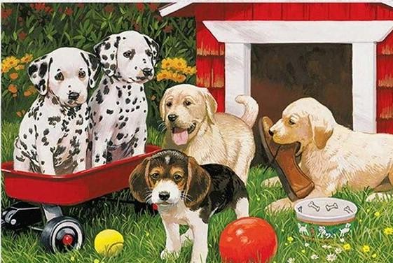 

Dogs In Backyard Garden – Paint By Numbers - 40*50CM, 501 Original