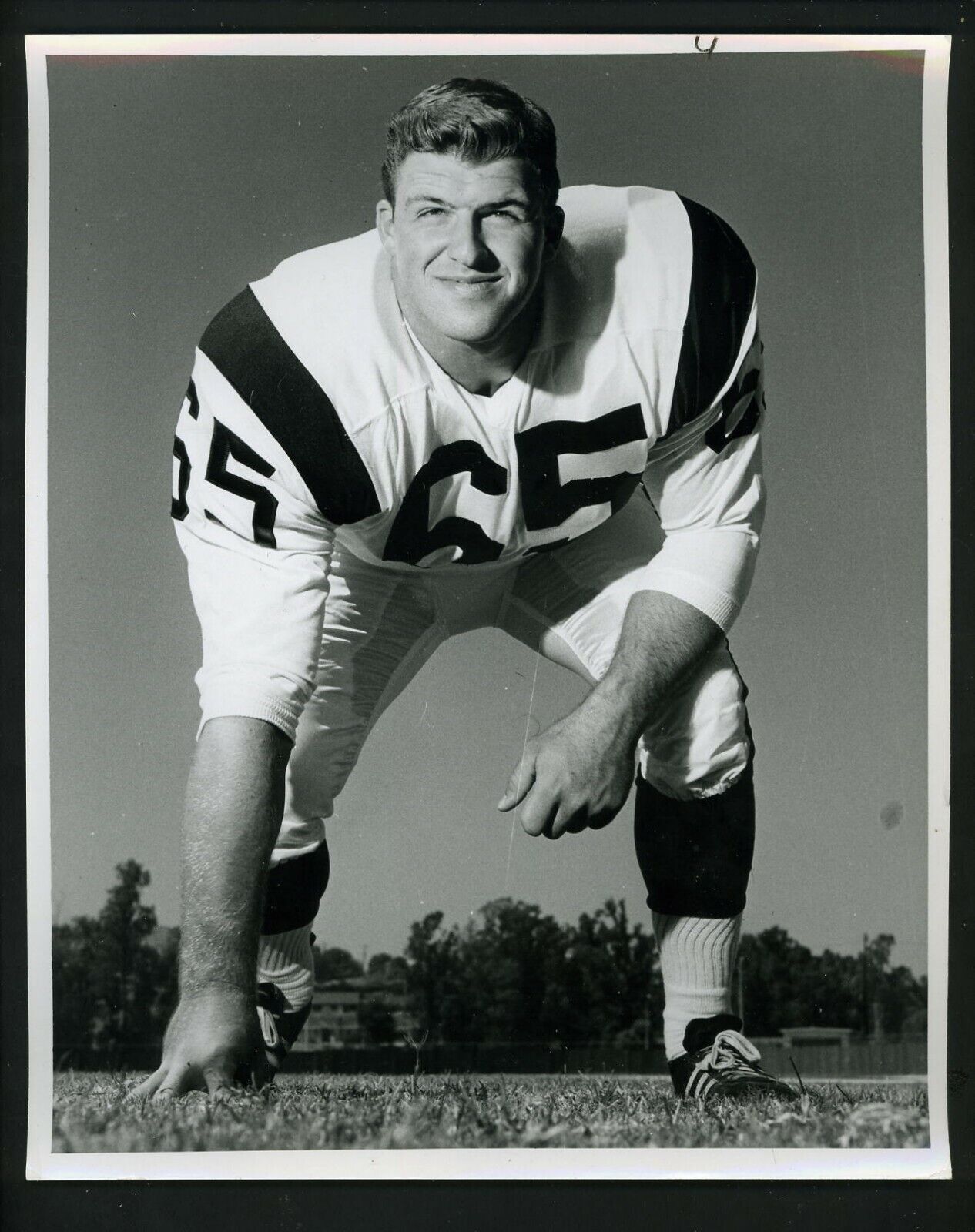 Tom Mack Los Angeles Rams Team Issued circa 1960's Press Photo Poster painting